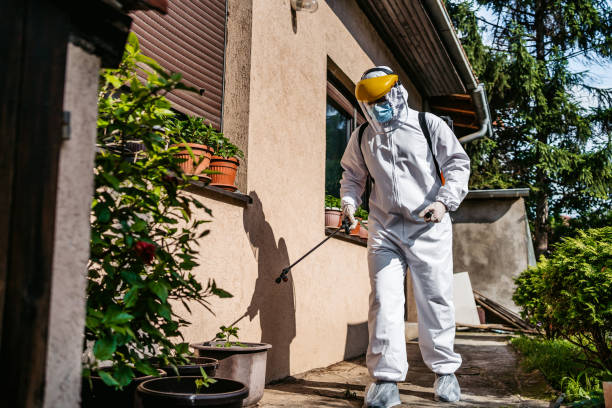 Best Wasp Removal Services  in Bedford, IA