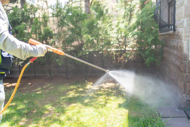 Best Best Pest Control Companies  in Bedford, IA